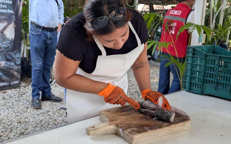 Primer Certamen de Fileteado en la Feria Tabasco 2026