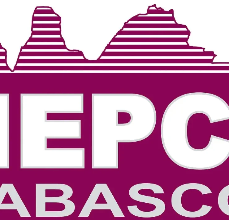 IEPC le aplicó multa al PRD por incumplir lineamientos electorales