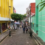 Desolado el Barrio Mágico