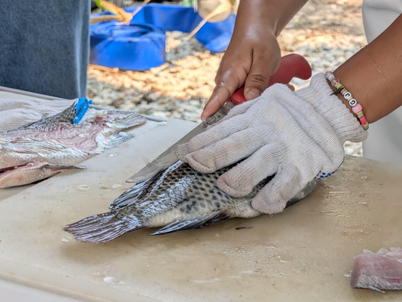 programa Pescando Vida