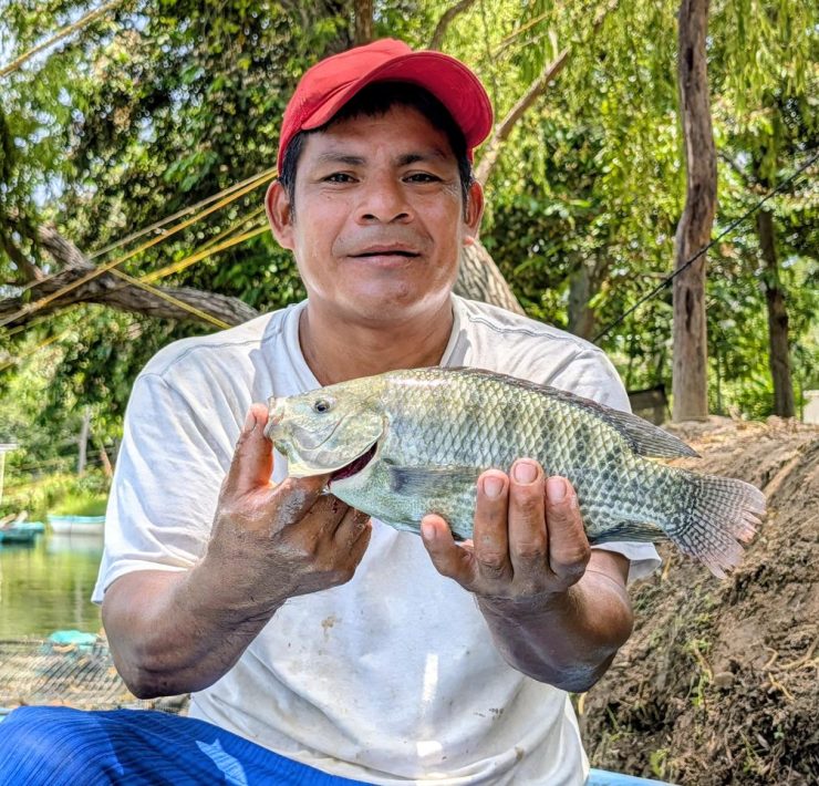 Llega Pescando Vida con más fuerza a la Central de Abasto