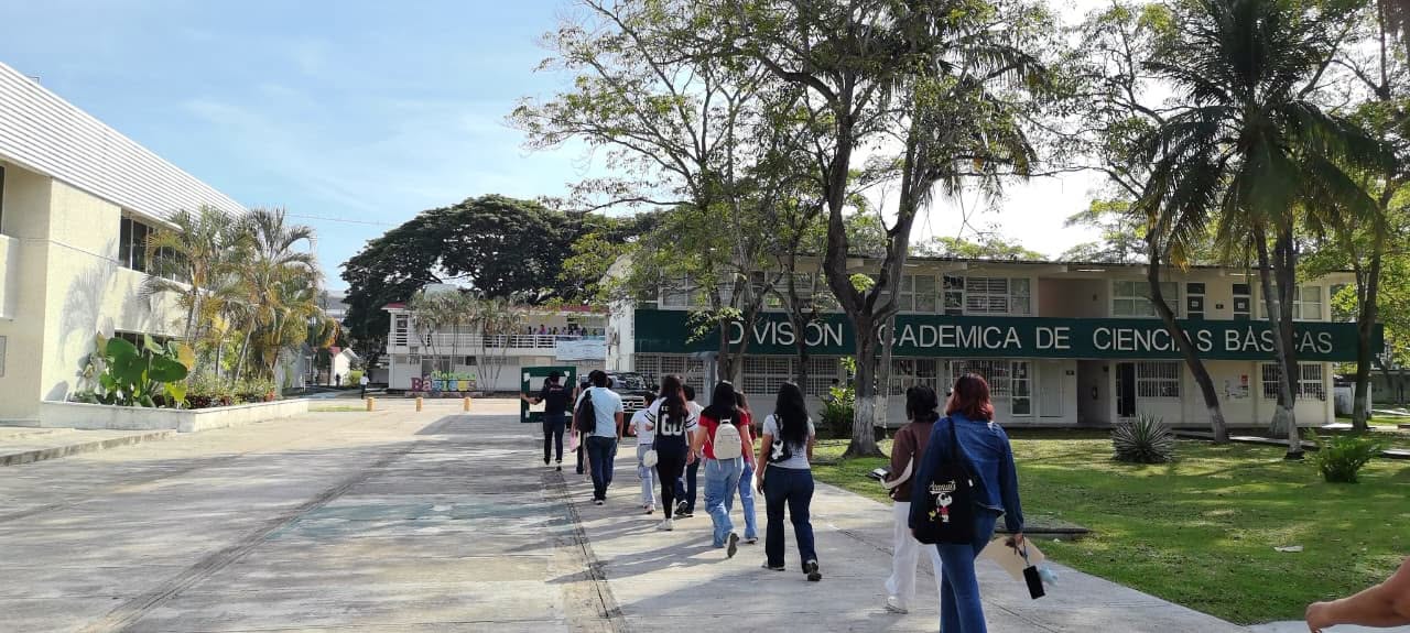 Participación por divisiones académicas