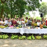 Rescata y fortalece al campo tabasqueño