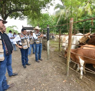 Con Crédito Ganadero a la Palabra se transforma la vida de pequeños productores