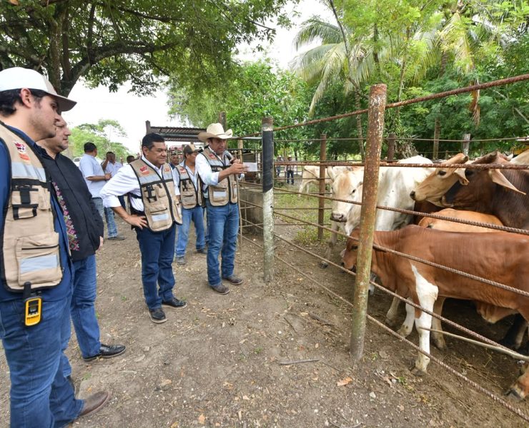 Con Crédito Ganadero a la Palabra se transforma la vida de pequeños productores