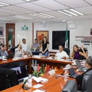IEPCT ratifica improcedencia del registro a Organización Unión Democrática