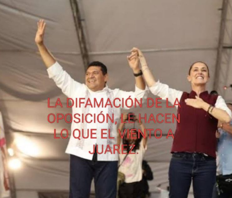 DIFAMACIÓN Y CALUMNIA CONTRA LA PRESIDENTA