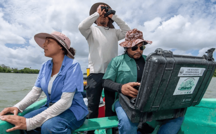 Documental sobre manatíes de la UJAT