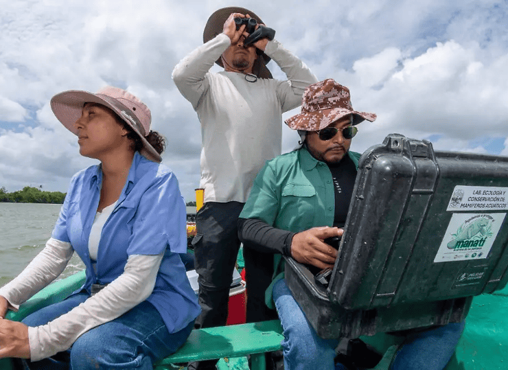 Documental sobre manatíes de la UJAT