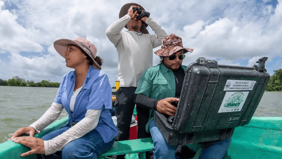 Documental sobre manatíes de la UJAT