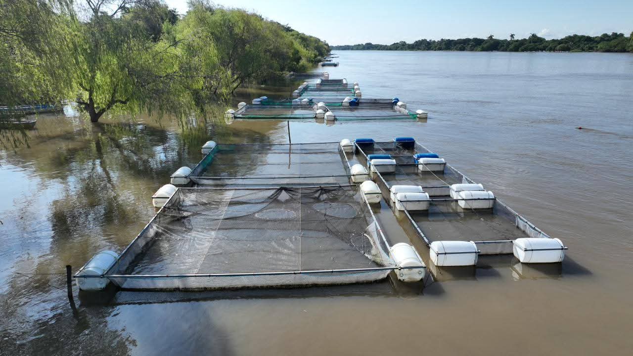 El grupo de pescadoras