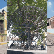 VIEJO OLVIDO Y SUSTO