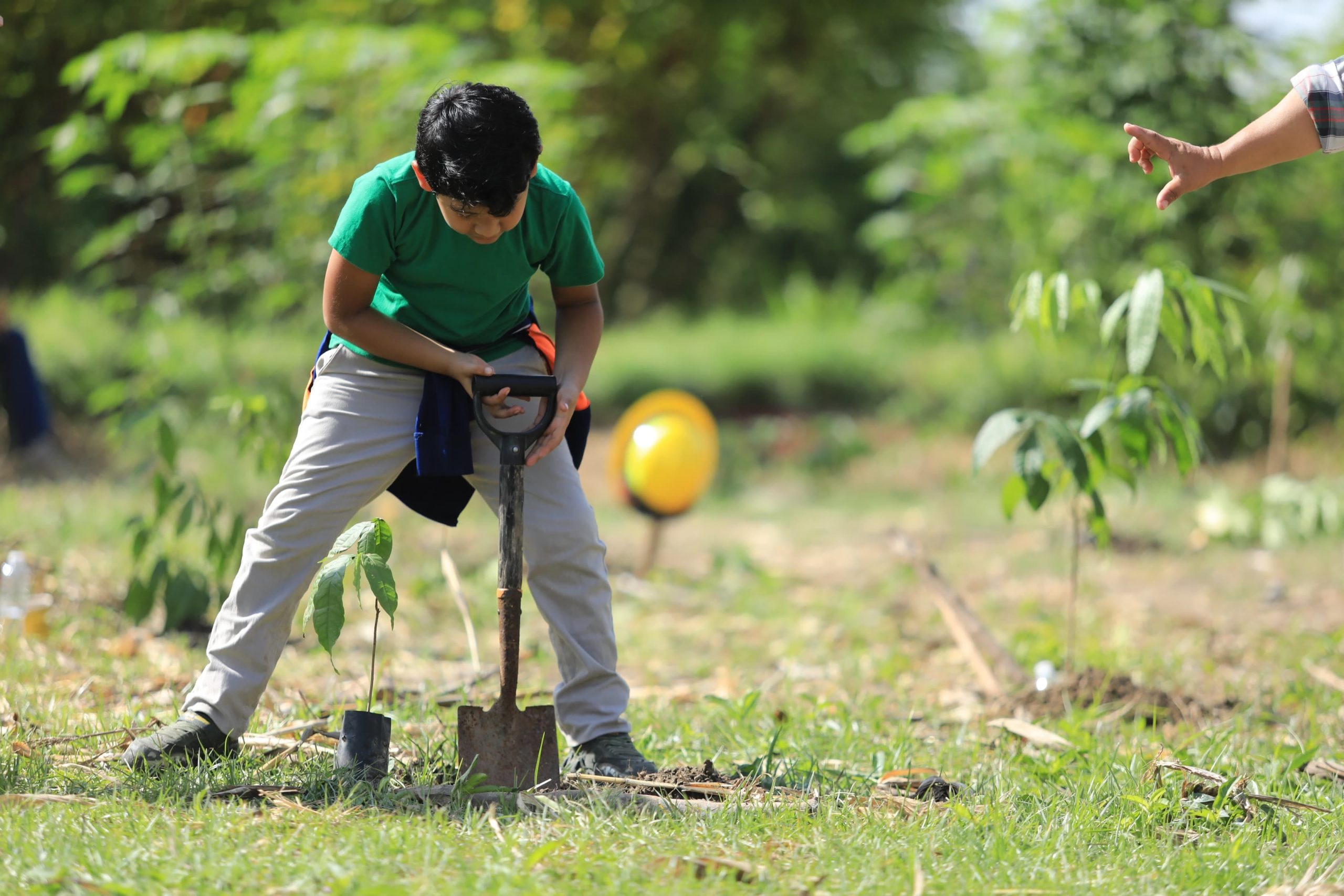 Jornada Nacional de Reforestación