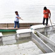 Mujeres rompen prejuicios con el programa Pescando Vida