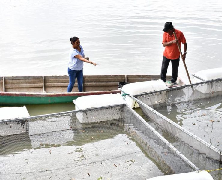 Mujeres rompen prejuicios con el programa Pescando Vida