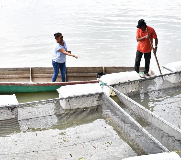 Mujeres rompen prejuicios con el programa Pescando Vida