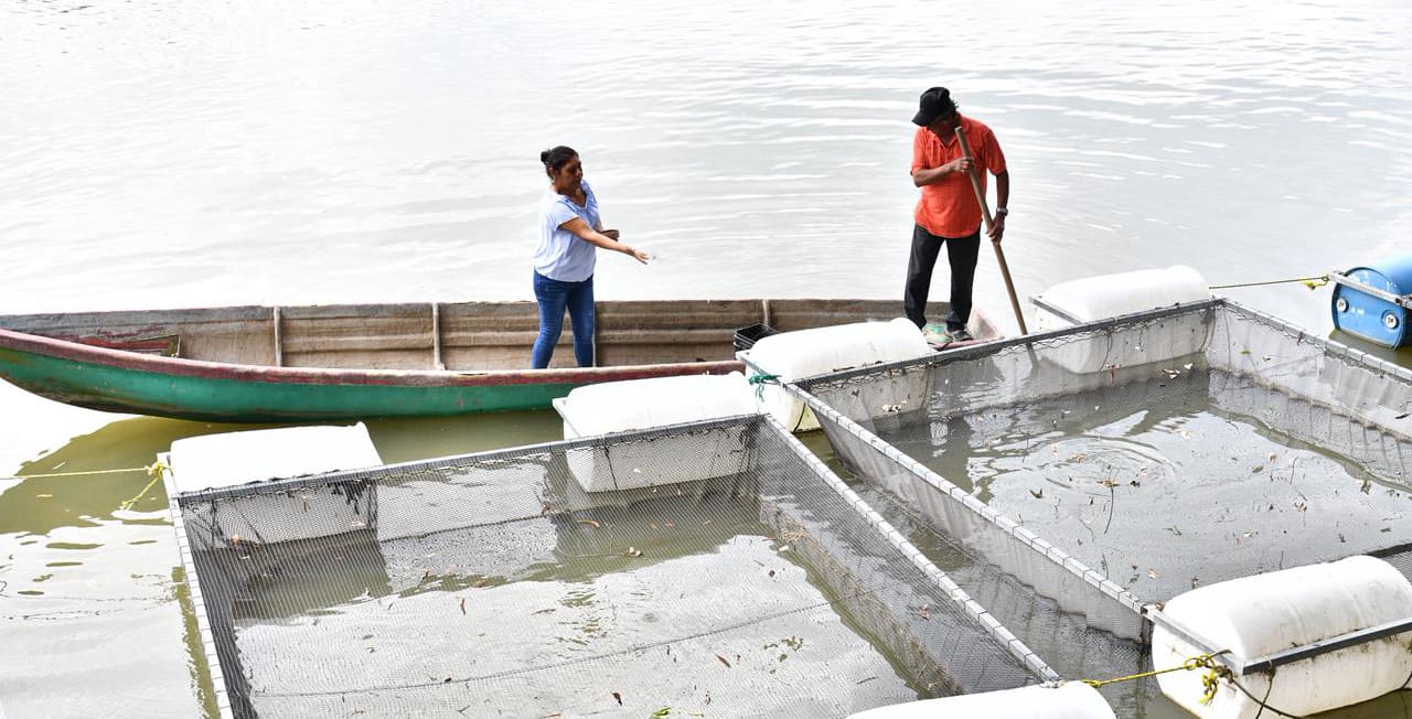 Mujeres rompen prejuicios con el programa Pescando Vida