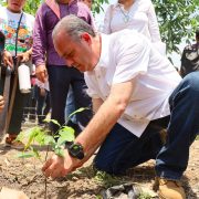 Poder Judicial de Tabasco se suma a Jornada Nacional de Reforestación