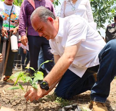 Poder Judicial de Tabasco se suma a Jornada Nacional de Reforestación