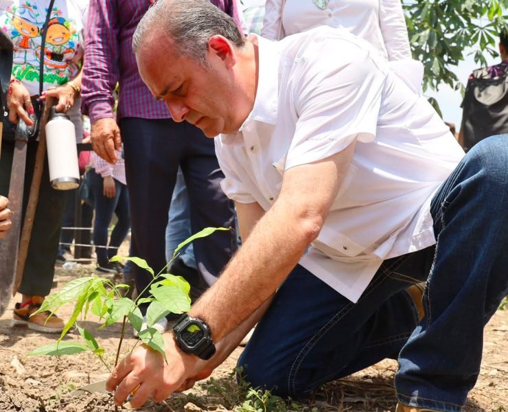 Poder Judicial de Tabasco se suma a Jornada Nacional de Reforestación
