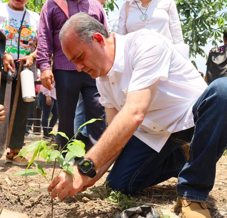 Poder Judicial de Tabasco se suma a Jornada Nacional de Reforestación