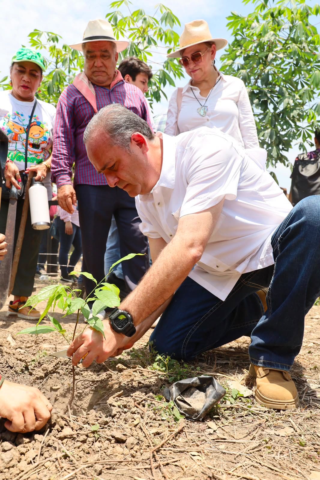 Poder Judicial de Tabasco se suma a Jornada Nacional de Reforestación