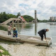 SEMADES refuerza acciones para atender afectación de peces