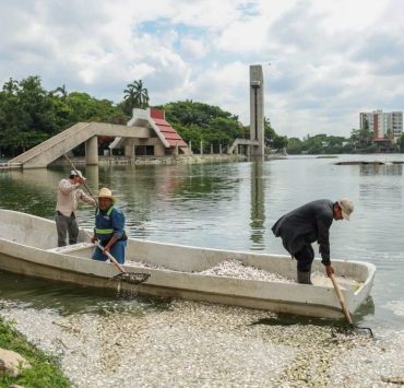 SEMADES refuerza acciones para atender afectación de peces