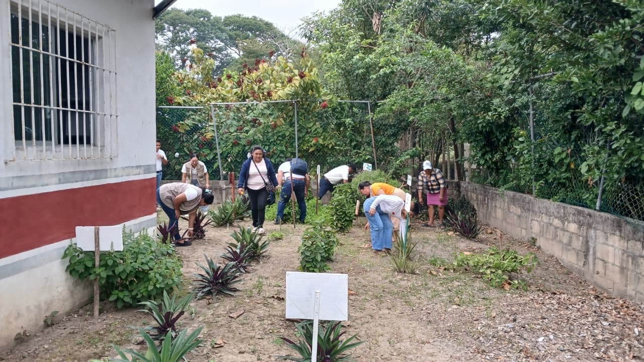 Sembrando Vida Tabasco