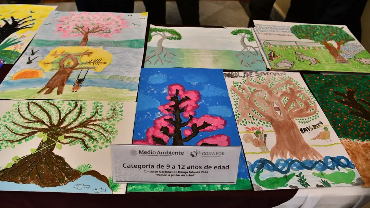 Concurso Nacional Infantil 2026 reconoce a niñas y niños tabasqueños