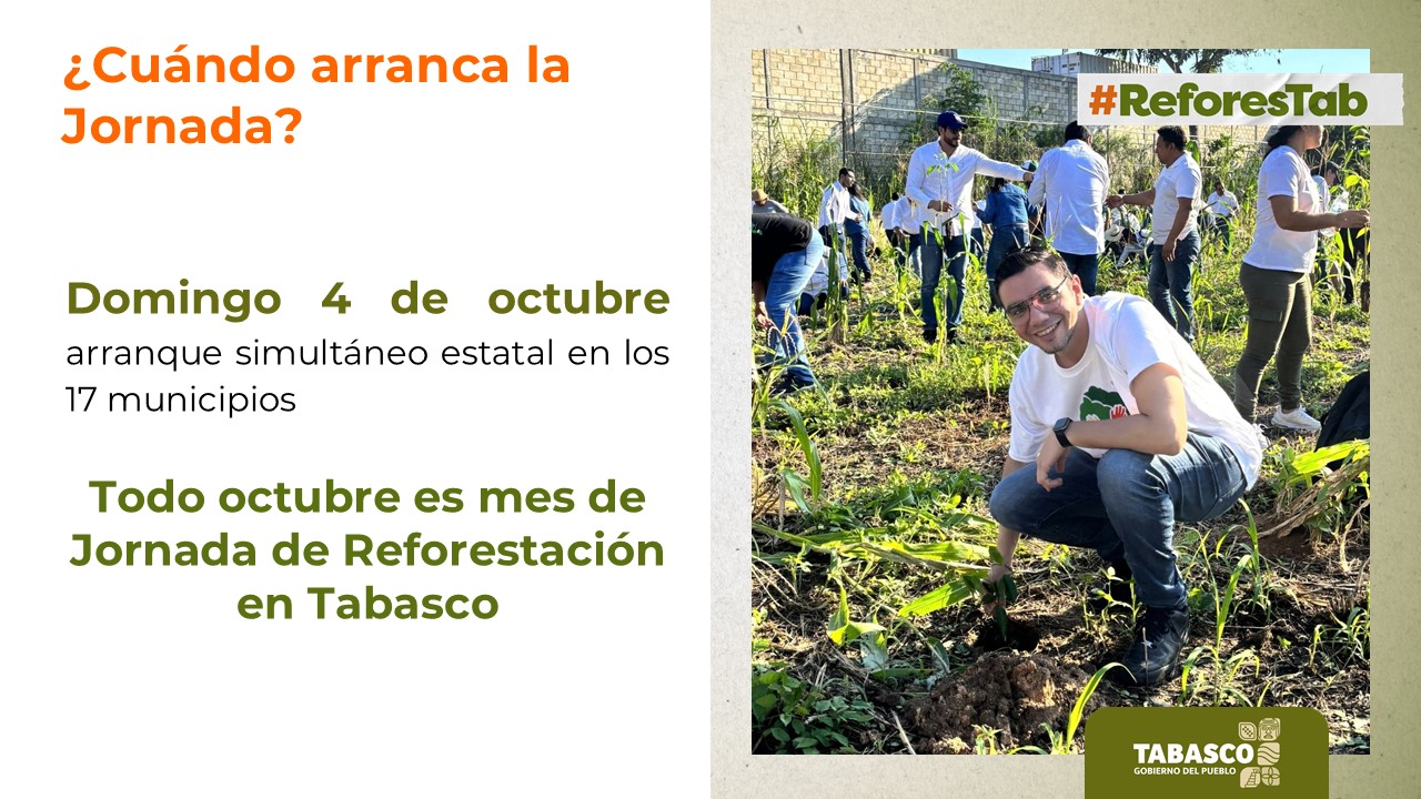El reto no termina al plantar un árbol