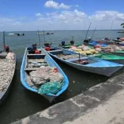 Fortalecen al sector pesquero en Tabasco gracias a Pescando Vida