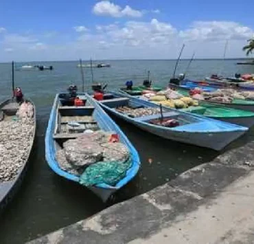 Fortalecen al sector pesquero en Tabasco gracias a Pescando Vida
