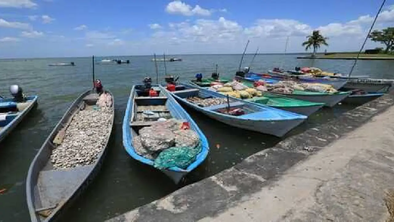 Fortalecen al sector pesquero en Tabasco gracias a Pescando Vida