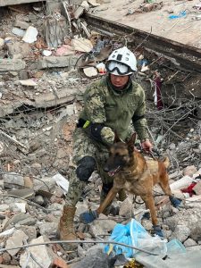 Los binomios caninos de la Armada de México desempeñan un papel fundamental en las labores de búsqueda, rescate y ayuda humanitaria ante emergencias y desastres naturales.