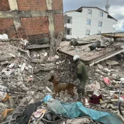 Binomios caninos de la Armada de México seis décadas de servicio y solidaridad