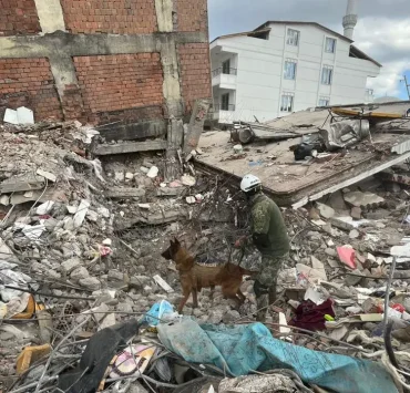 Binomios caninos de la Armada de México seis décadas de servicio y solidaridad