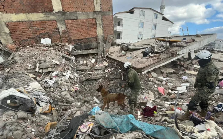 Binomios caninos de la Armada de México seis décadas de servicio y solidaridad