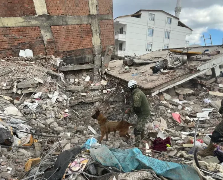 Binomios caninos de la Armada de México seis décadas de servicio y solidaridad
