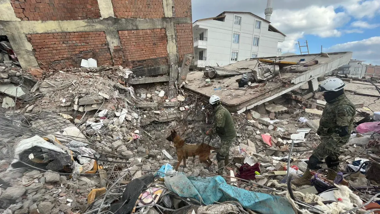 Binomios caninos de la Armada de México seis décadas de servicio y solidaridad
