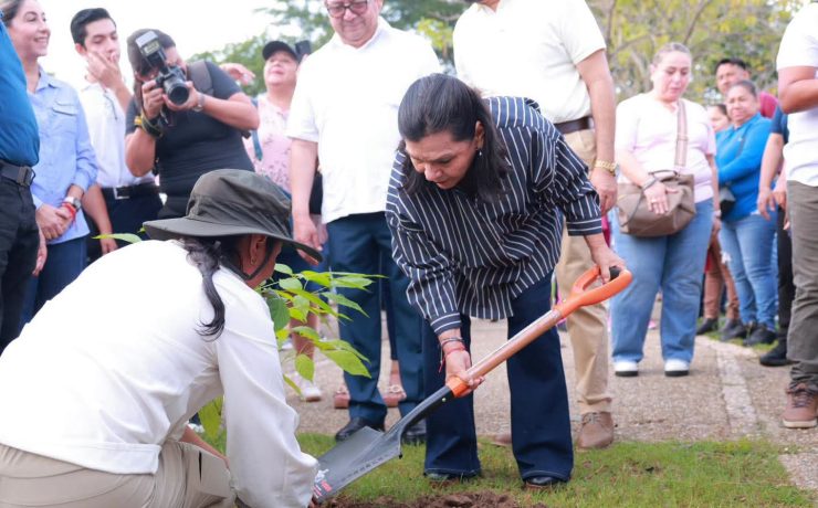 Centro se suma a la Jornada de Reforestación 2026