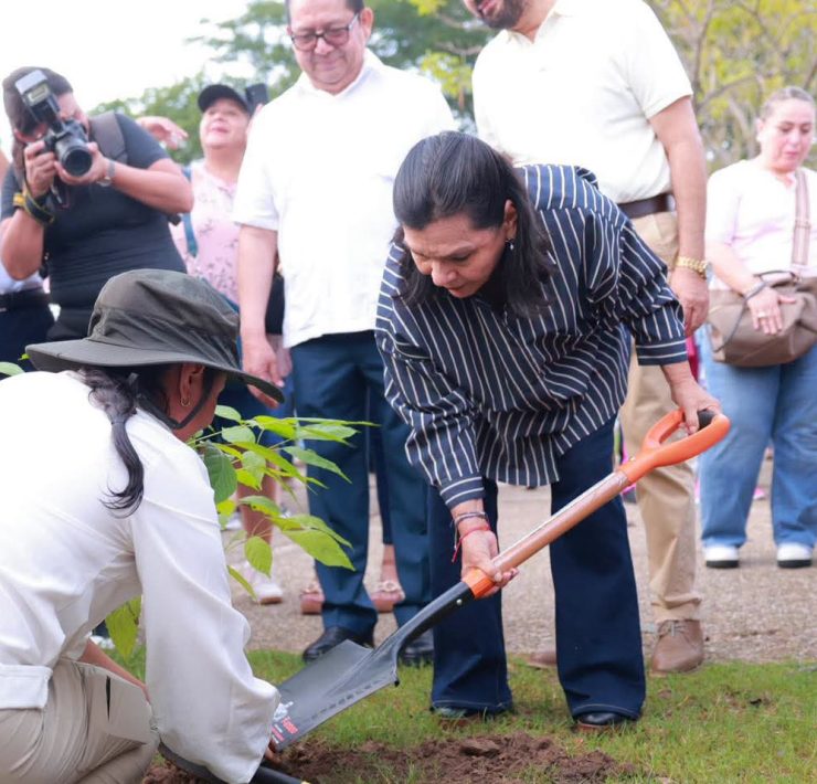 Centro se suma a la Jornada de Reforestación 2026