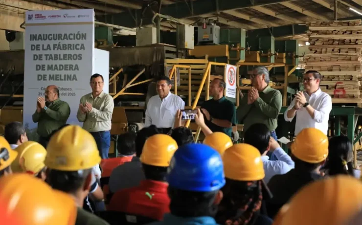 Empresarios siguen apostando por Tabasco con una inversión que fortalece la industria forestal