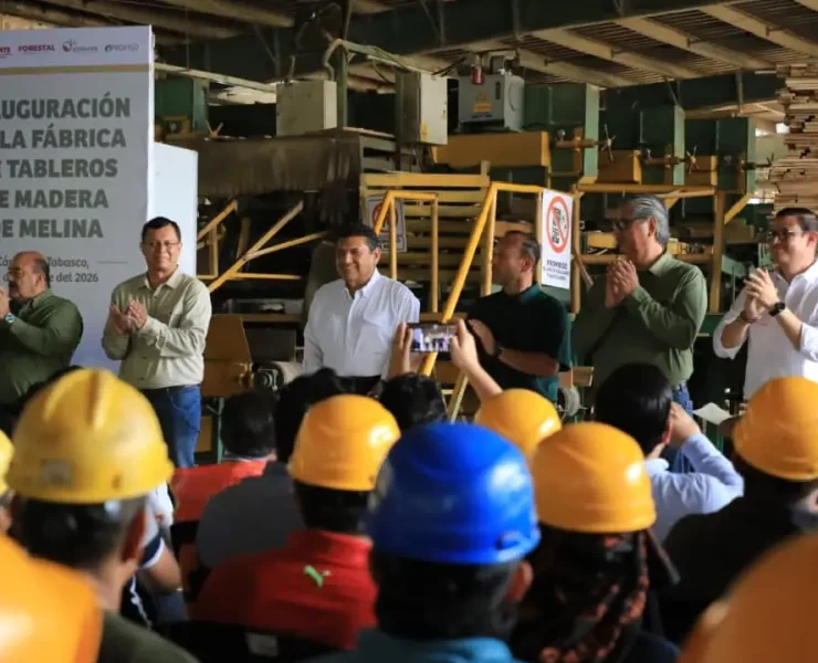 Empresarios siguen apostando por Tabasco con una inversión que fortalece la industria forestal