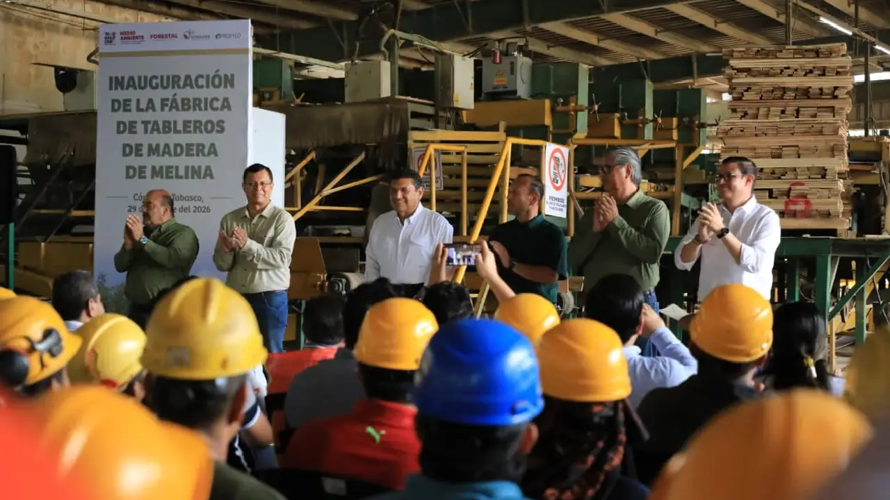 Empresarios siguen apostando por Tabasco con una inversión que fortalece la industria forestal
