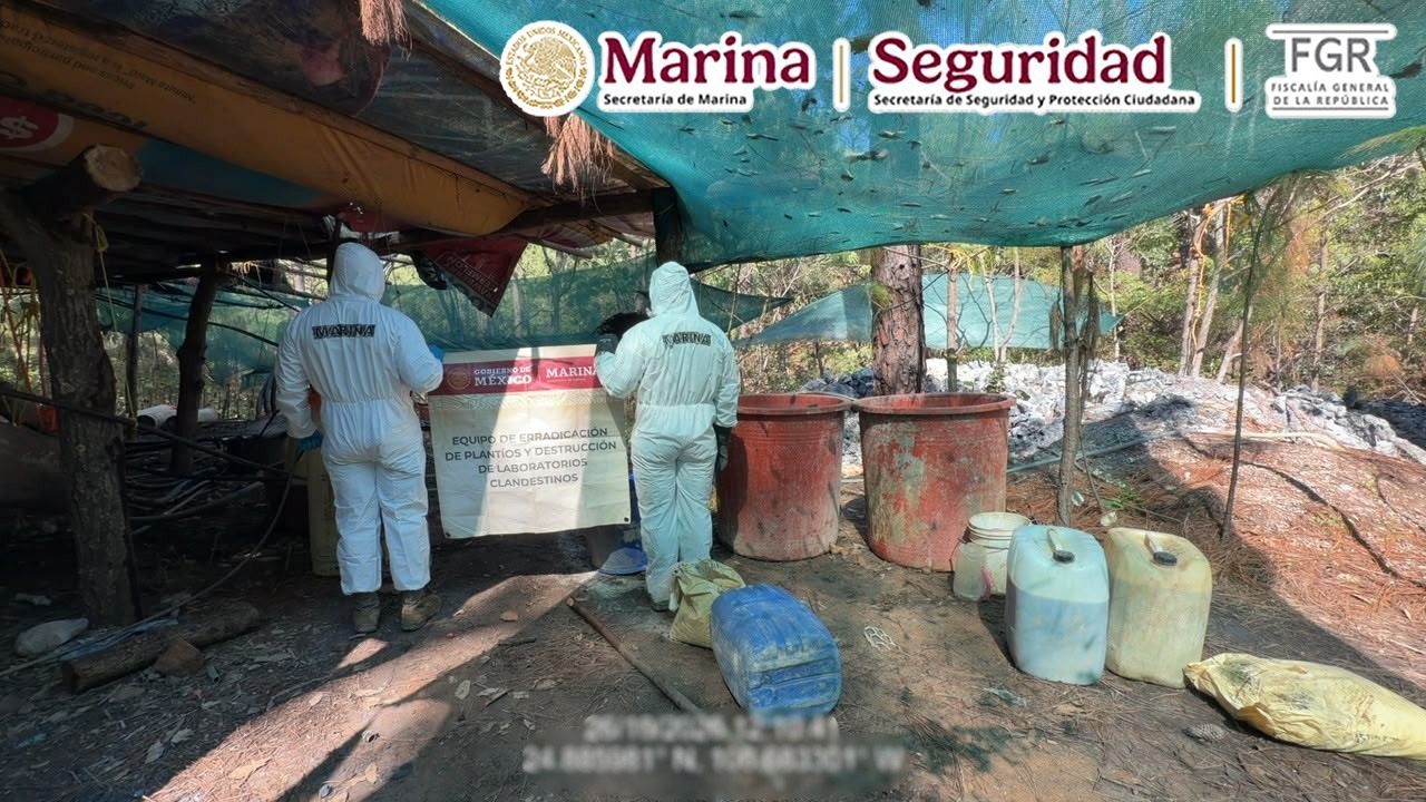 Reportan afectación económica