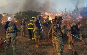 El Plan Marina cuenta con buques, helicópteros, embarcaciones de rescate, plantas potabilizadoras y equipos especializados para atender emergencias. A 60 años de su formalización, la Armada de México mantiene su compromiso con la protección y el auxilio de la población.