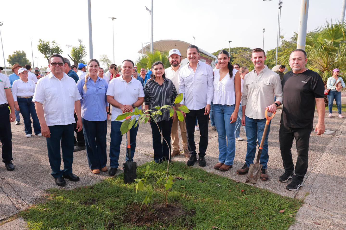 Reforestación para enfrentar el cambio climático