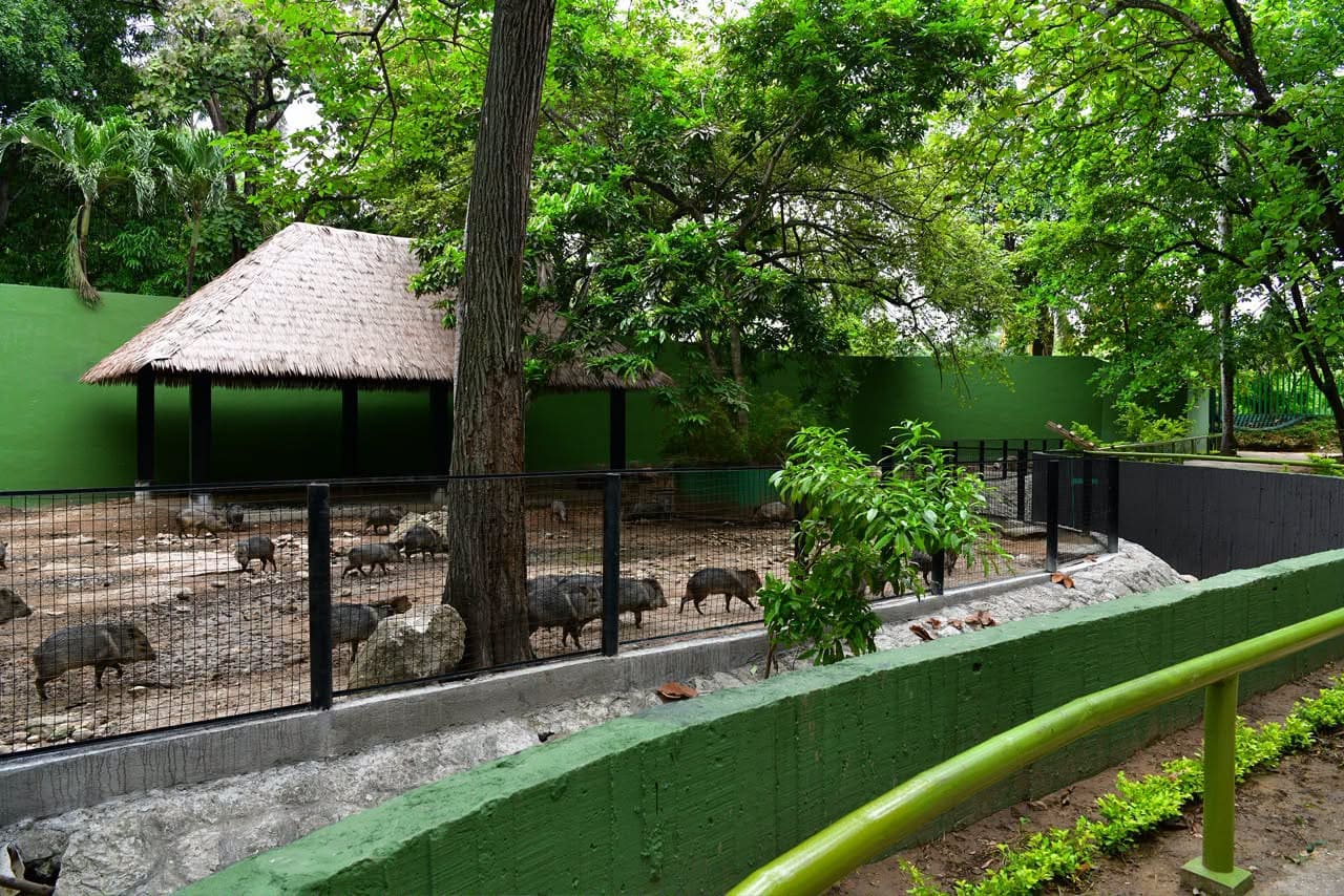 Renuevan áreas de atención a visitantes