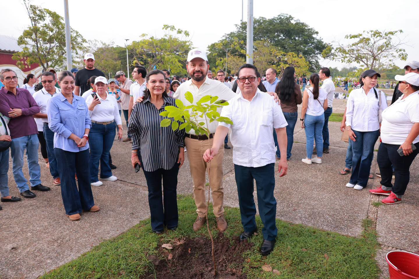 Siembran mil plantas en Olimpia XXI
